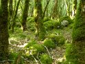 2018-09-20 11-08-53 Rando Combas MBo